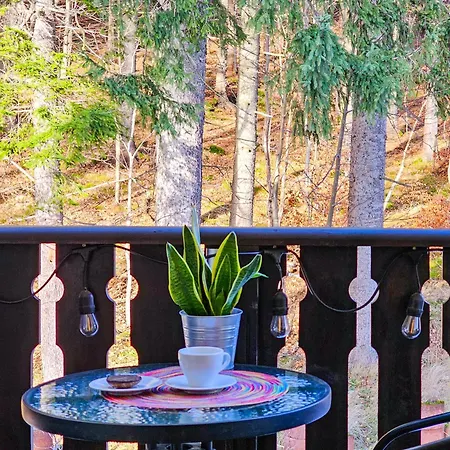 Apartament Huta Spokoju