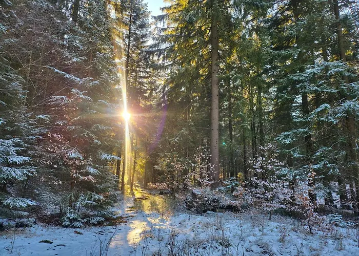 Huta Spokoju Апартаменты Шклярска-Поремба
